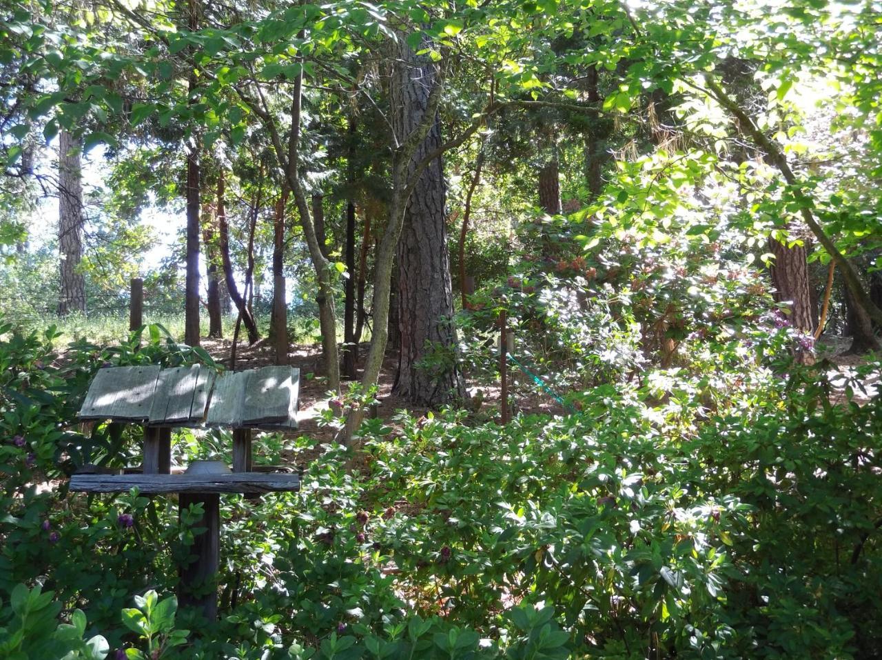 Ponderosa Ridge A B & B Placerville Exterior foto